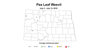 plw