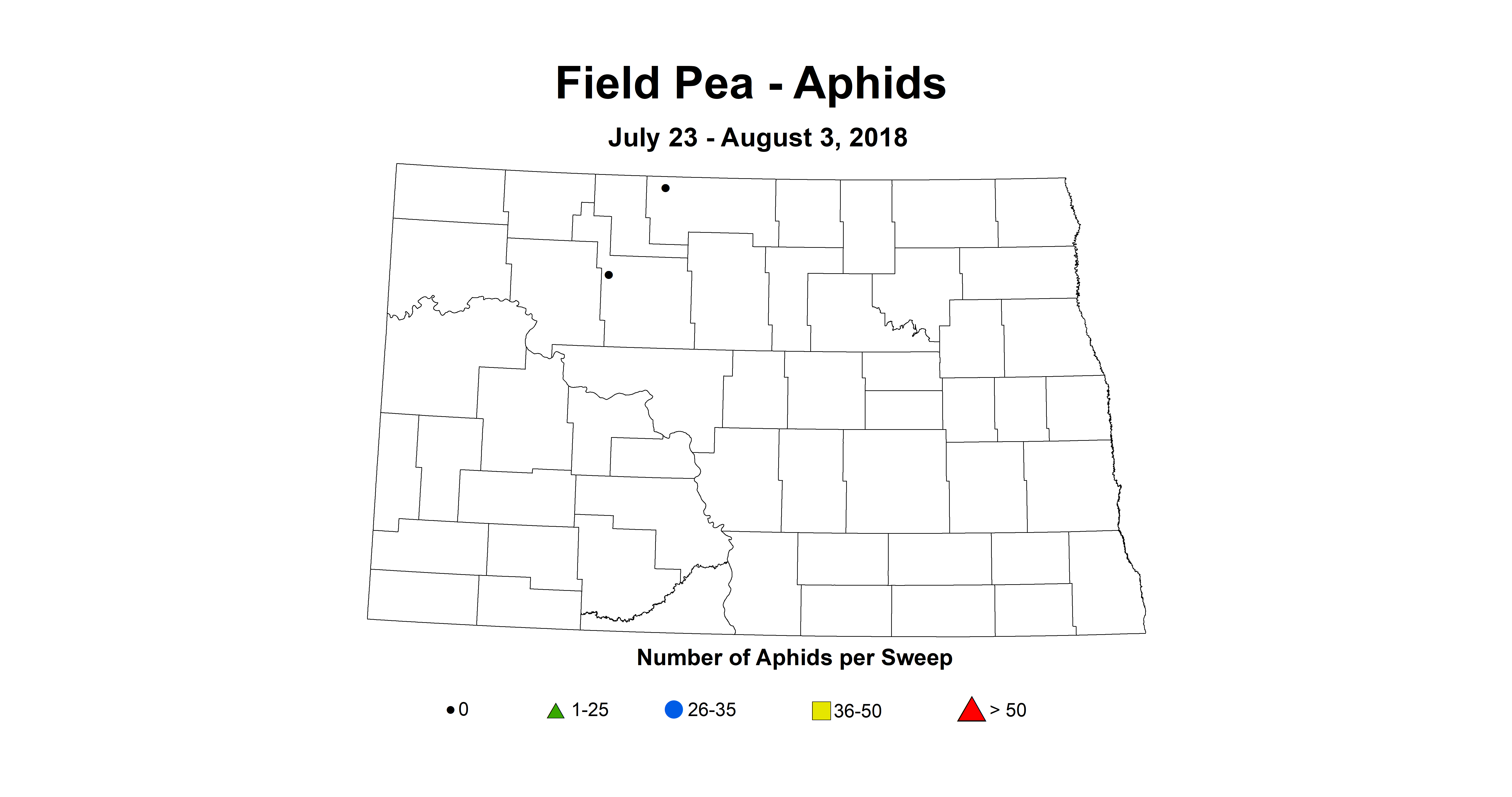 aphid