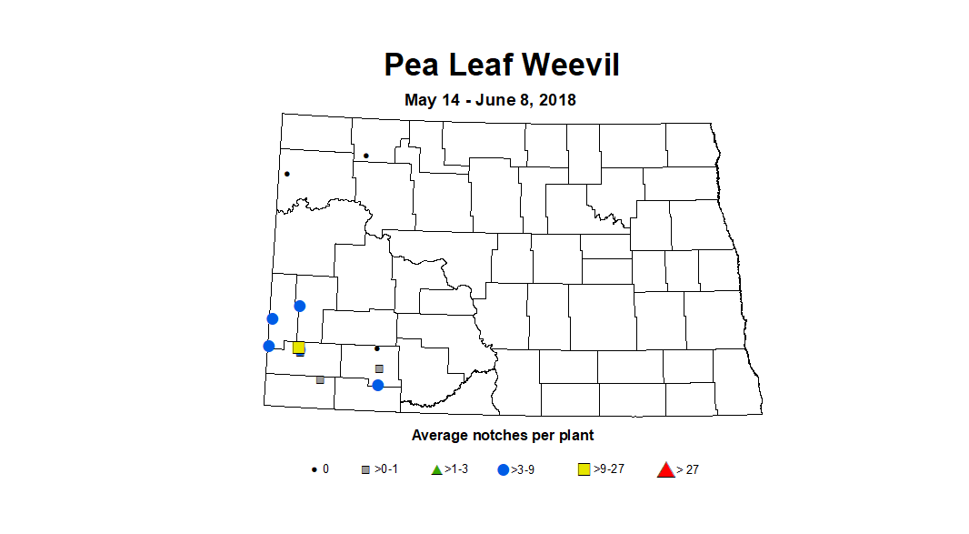 plw5.14 6.8