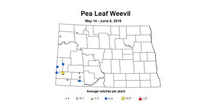 plw5.14 6.8