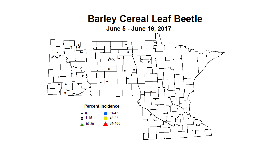barley CLB 6 5 6 16
