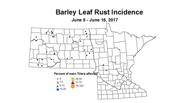 barley LRI 6 5 6 16