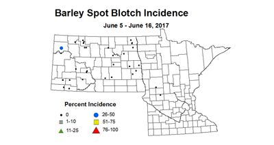 barley SBI 6 5 6 16