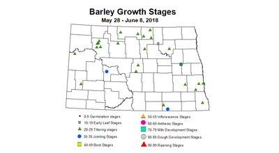 barley zgs 5.28 6.8