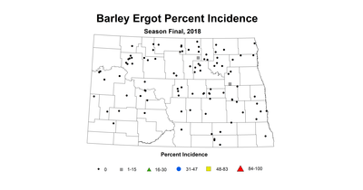 ergot