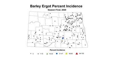 ergot