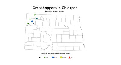 season Adults