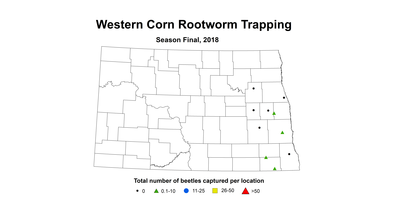 total west
