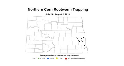rw north