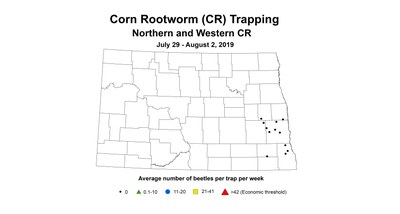 rw nw