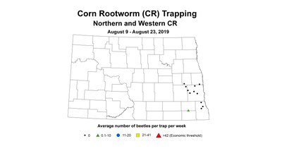 nw