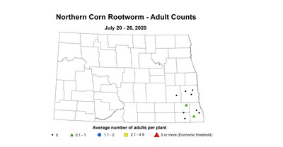 crw northern