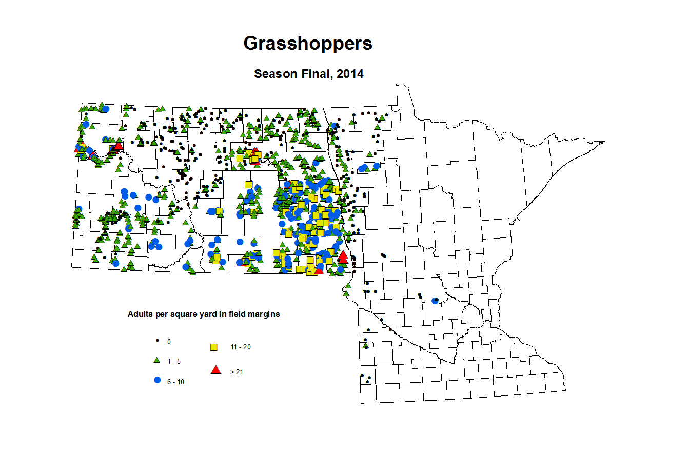 2014 Season Final Grasshopper Adult