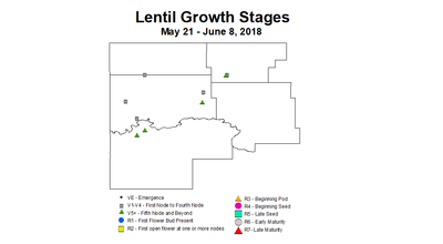 lentil zgs 5.21 6.8