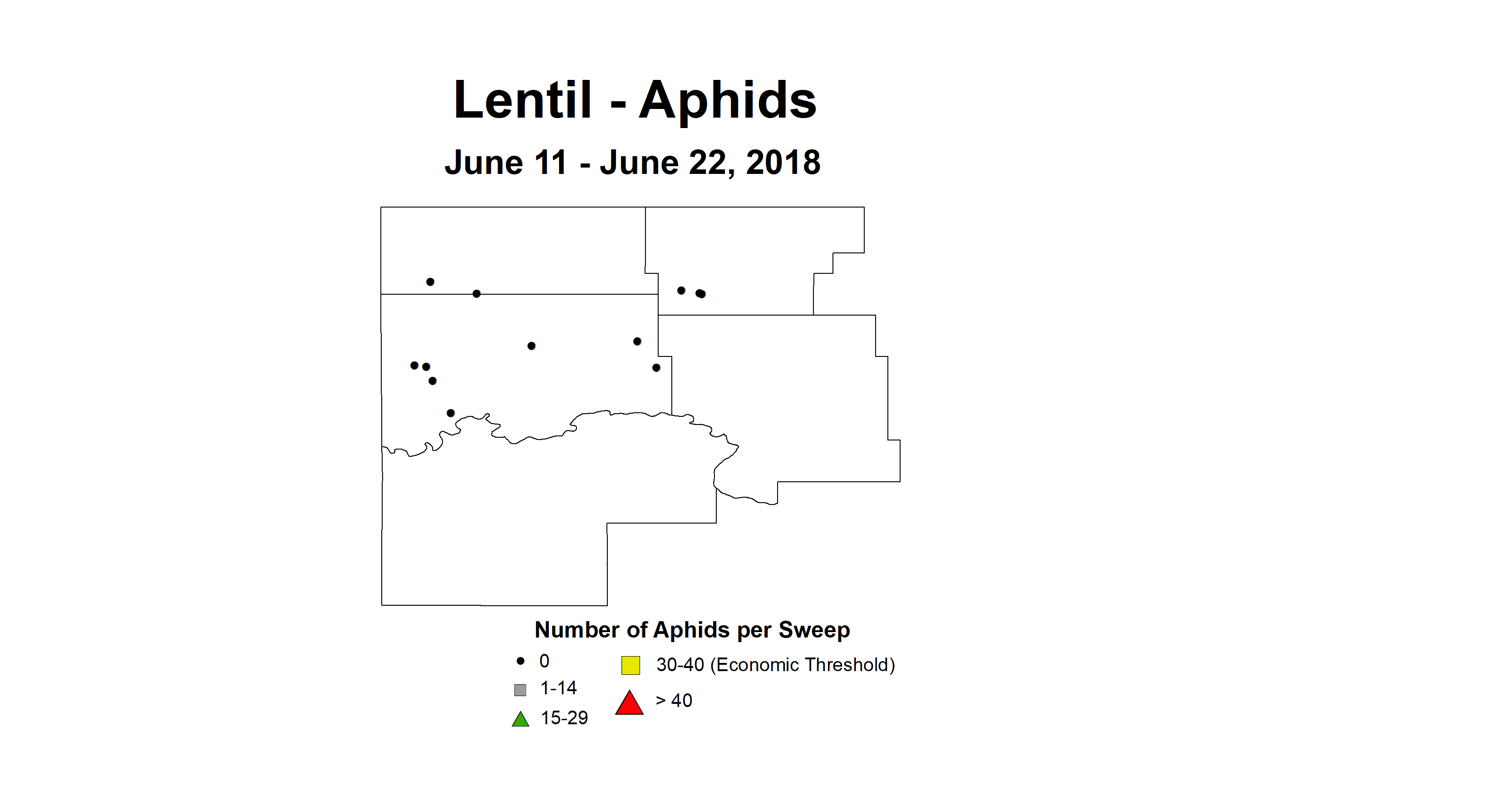 aphids