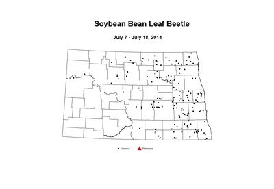 7 7 7 18 Soybean Bean Leaf Beetle