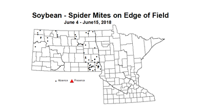 mitesEdge