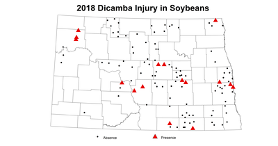 DicambaInjury