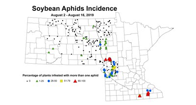 aphidIncidence