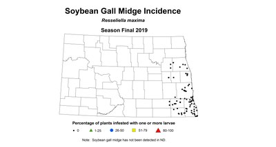 GallMidgeSeason2019