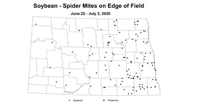MitesEdge