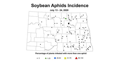 aphid incidence