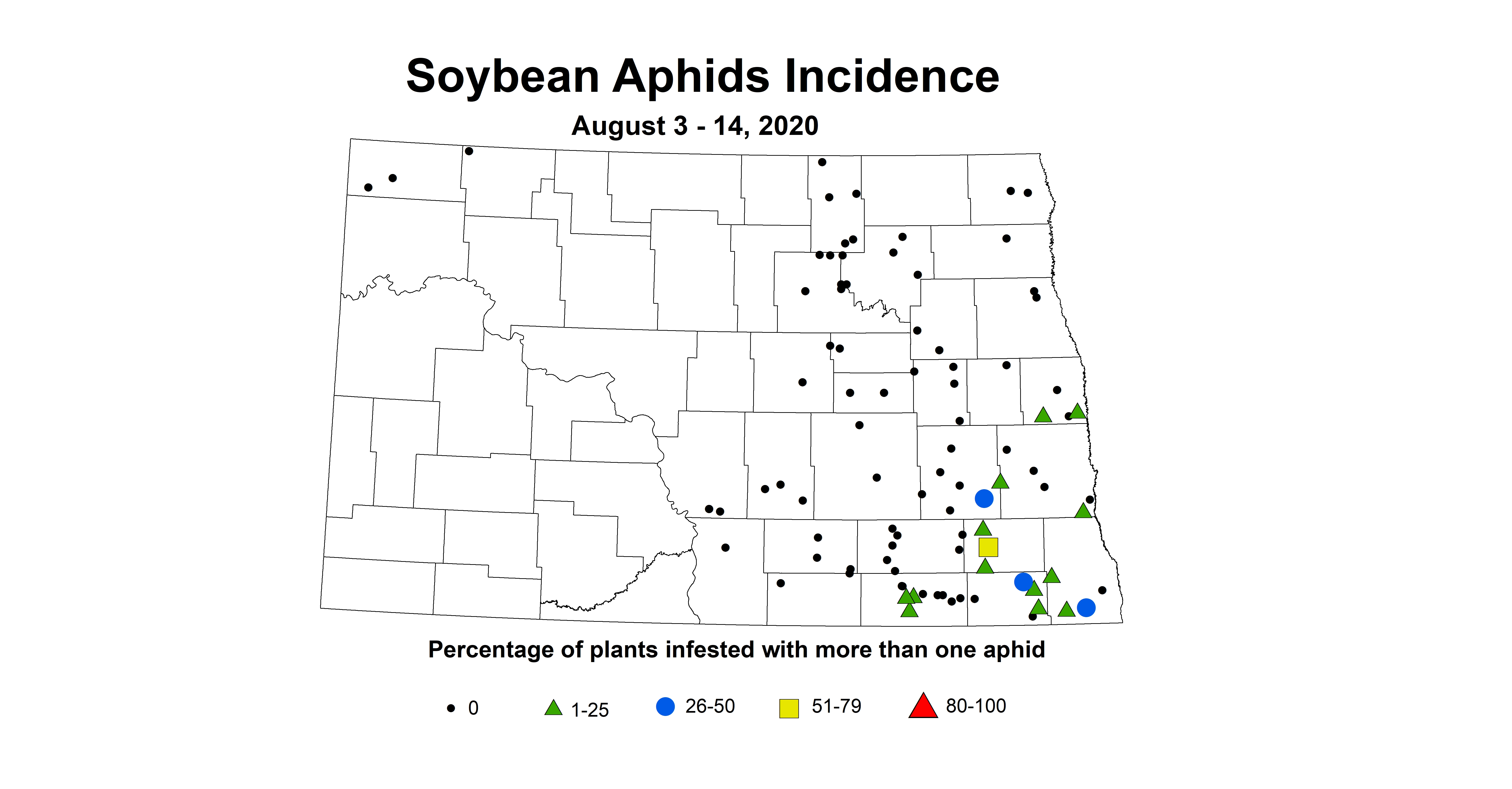 aphid incidence