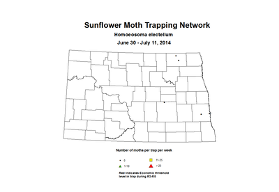 6 30 7 11 SunflowerTrap SMTN