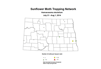 7 21 8 1 SunflowerTrap SMTN