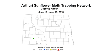 arthuri