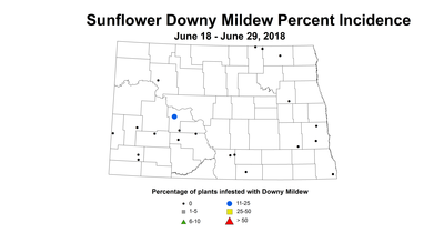 mildew