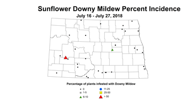 mildew