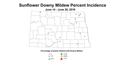 mildew