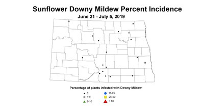 mildew