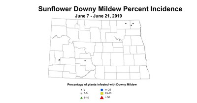 mildew