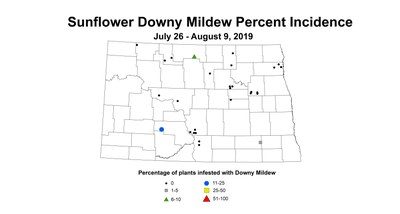 mildew
