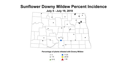 mildew