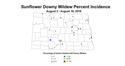 mildew