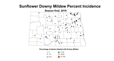 mildew