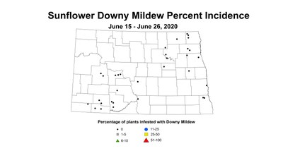 mildew