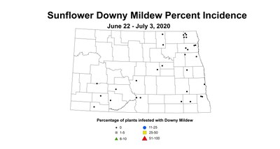 mildew