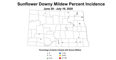 mildew