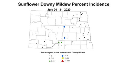 mildew