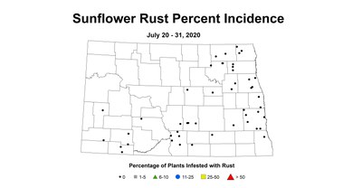 rustIncidence