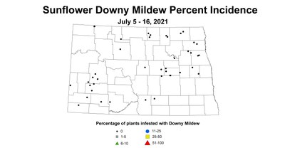 mildew