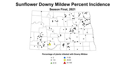 mildew
