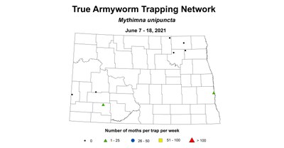 WheatInsectTrueArmyworm 6.7 6.18