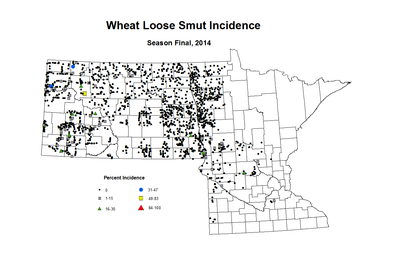 2014 Season Final Wheat LS Inc