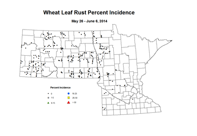 5 26 6 6 Wheat LR Inc