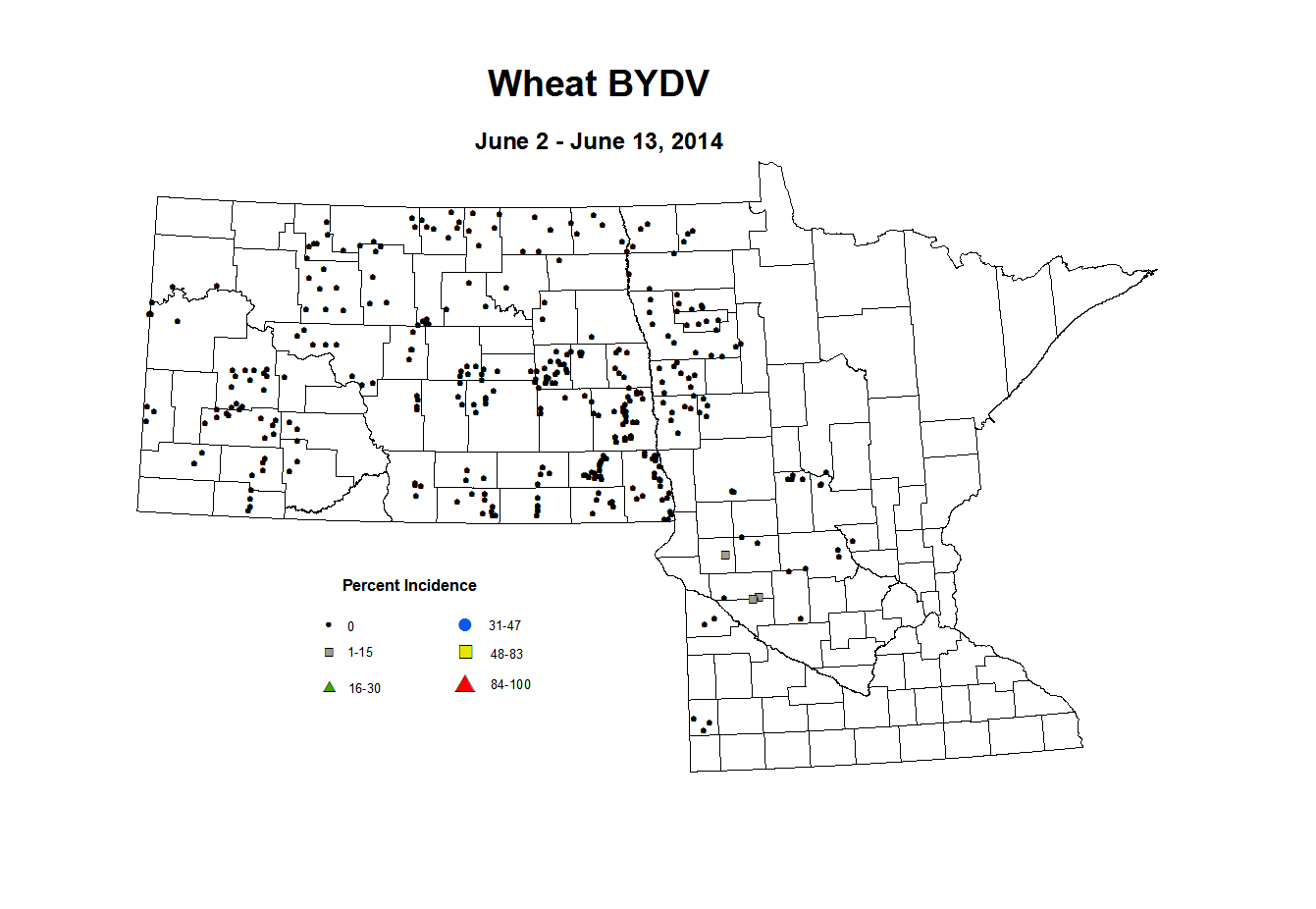 6 2 6 13 Wheat BYDV